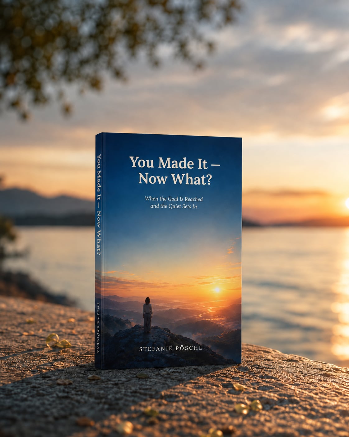 The book “You Made It — Now What?” standing on a stone wall by the sea at sunset